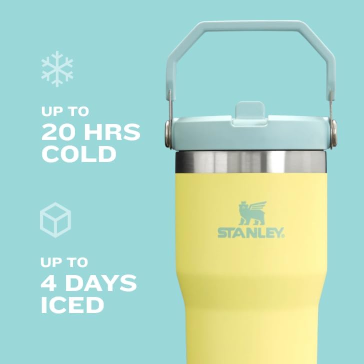 Stanley IceFlow™ 30 oz Stainless Steel Tumbler with Flip Straw – Leak-Resistant, Vacuum Insulated, BPA-Free Reusable Cup for Cold Drinks – Keeps Cold 12 Hours / Iced 2 Days