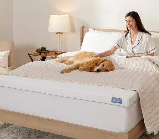 Serenity by Tempur-Pedic 3” Cooling Memory Foam Mattress Topper