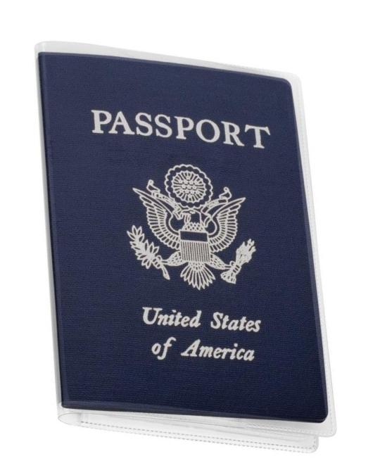 clear passport protector case, vinyl travel wallet, plastic passport sleeve, transparent passport cover, passport holder for travel