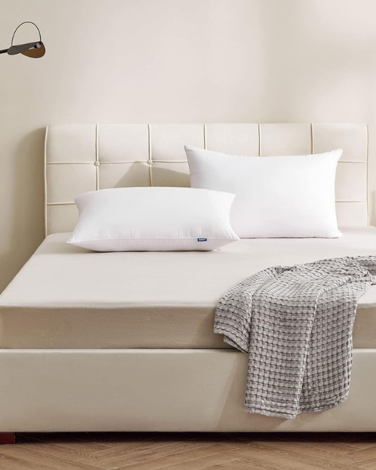 GentleSoft™ Down Alternative Pillows – 2-Pack