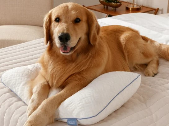 Serenity by Tempur-Pedic Adjustable Shredded Memory Foam Pillow