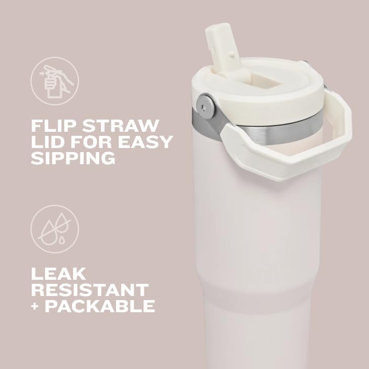 Stanley IceFlow™ 30 oz Stainless Steel Tumbler with Flip Straw – Leak-Resistant, Vacuum Insulated, BPA-Free Reusable Cup for Cold Drinks – Keeps Cold 12 Hours / Iced 2 Days