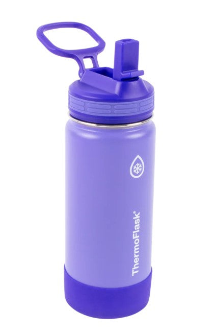 16oz Stainless Steel Kids Water Bottle 2-Pack with Straw Lid