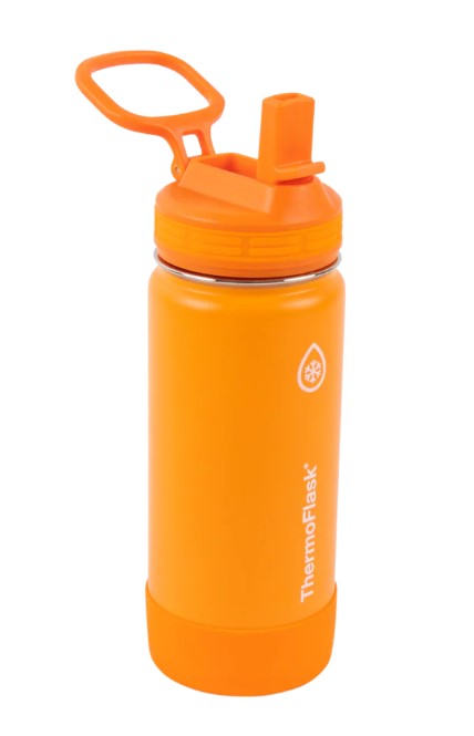 16oz Stainless Steel Kids Water Bottle 2-Pack with Straw Lid